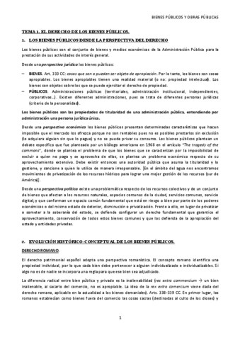 APUNTES BIENES PÚBLICOS.pdf