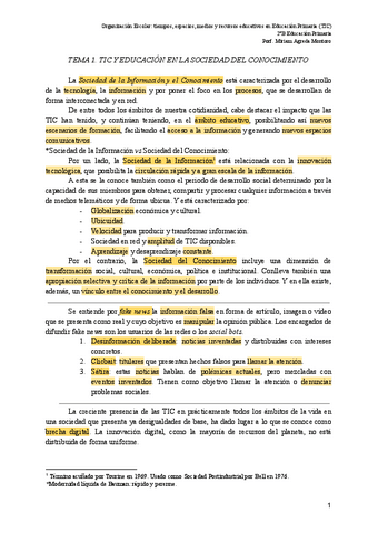 TEMA-1-TIC.pdf