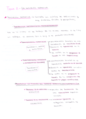 Tema-2-Fundamento.pdf