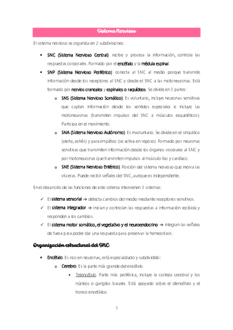 Tema-13.-Sistema-Nervioso.pdf