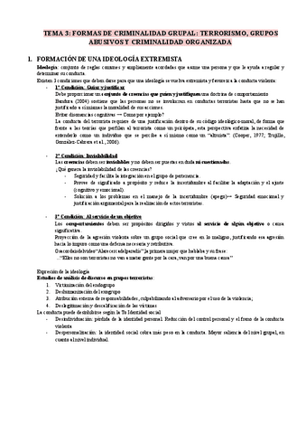 TEMA-3FORMAS-DE-CRIMINALIDAD-GRUPAL-TERRORISMO-GRUPOS.pdf