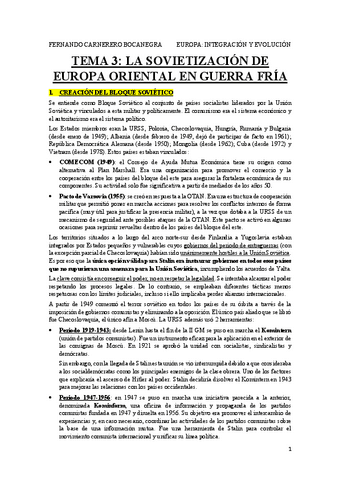 TEMA-3-EURO.pdf