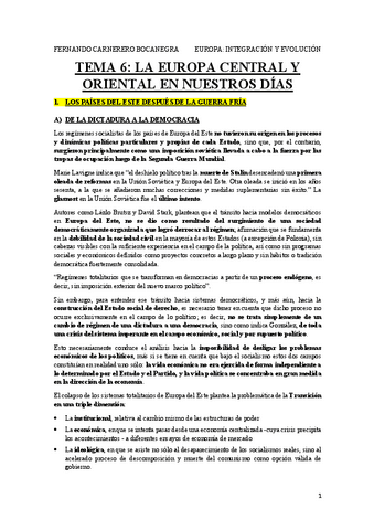 TEMA-6-EURO.pdf