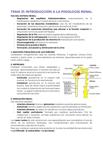 TODO-RENAL-RESUMIDO.pdf