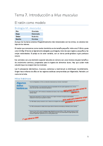 Tema-7.-Introduccion-a-M.musculus.pdf