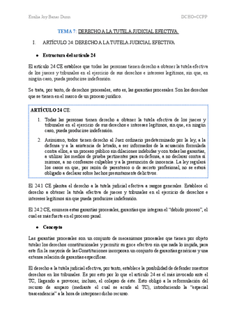 DERECHO-CONSTITUCIONAL-II-TEMA-7.pdf