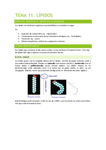 Tema-11.-Lipidos.pdf