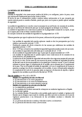 TEMAA-12-LAS-MEDIDAS-DE-SEGURIDAD.pdf