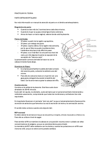 Temario-practicum-VII.pdf