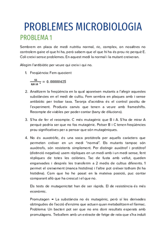PROBLEMES.pdf