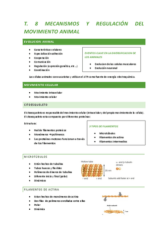 Tema-8.-Mecanismos-y-regulacion-del-movimiento-animal.pdf
