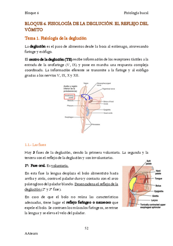 Bloque-6-Deglucion-y-reflejo-del-vomito.pdf