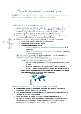 Tema-24. Sin lactosa y sin gluten.pdf