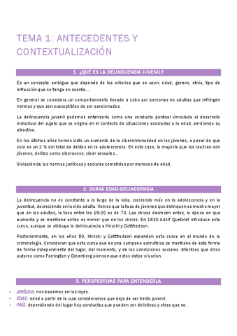 Delinquencia-juvenil-TEMARIO.pdf