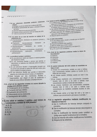 Examen-2019.pdf