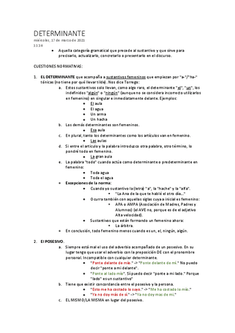DETERMINANTE-APUNTES-LENGUA.pdf