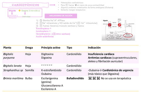 Drogas-Cardiovasculares.pdf