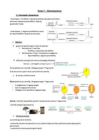 Tema-7-botanica.pdf