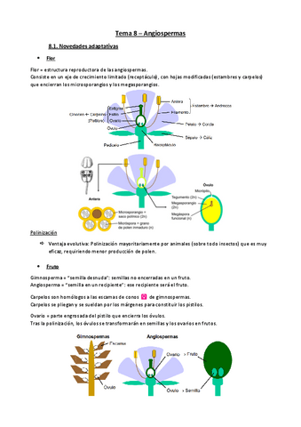 Tema-8-botanica.pdf