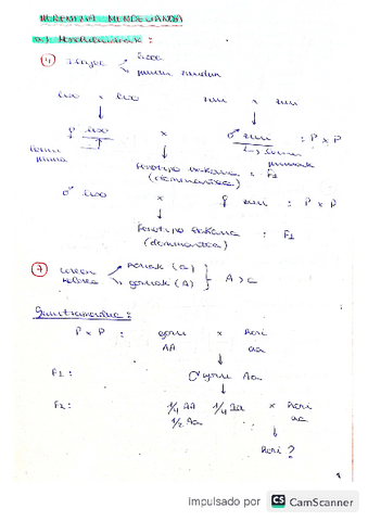 Mendel-ariketak-.pdf