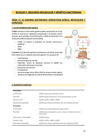 Temas 11-18 Micro.pdf