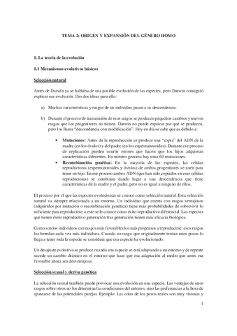 Prehistoria-Tema-2.pdf