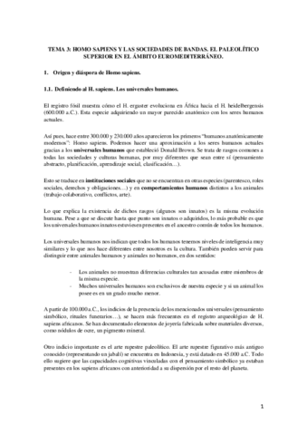 Prehistoria-Tema-3.pdf