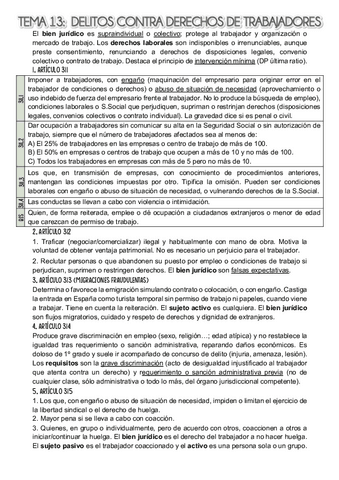 TEMA-13.pdf