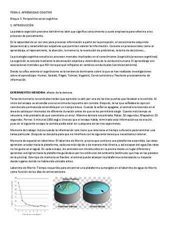 TEMA-6.pdf
