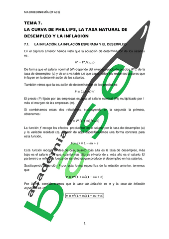 TEMA-7-Macro.pdf