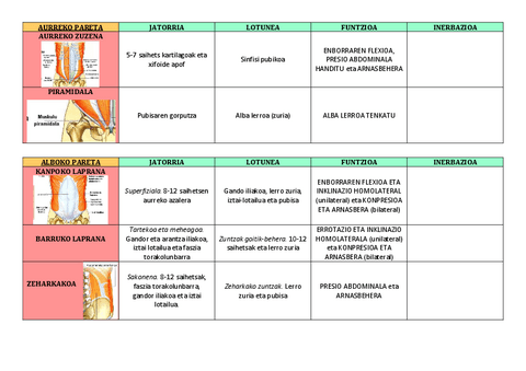PARETA-ABDOMINALA.pdf