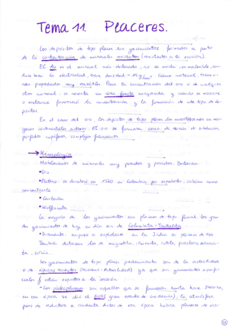 Tema 11 Yacimientos.pdf