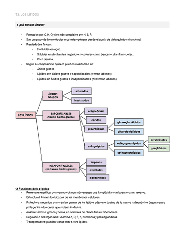 t3.-los-lipidos.pdf