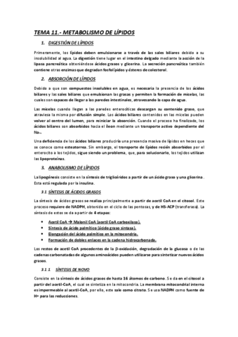 TEMA-11.-METABOLISMO-DE-LIPIDOS.pdf
