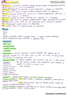INFORMÁTICA TEMA1-20171205000647082.pdf