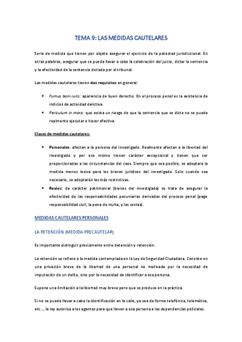 TEMA-9Las-medidas-cautelares.pdf