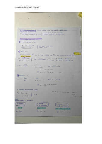 PLANTILLA-EJERCICIOS.pdf