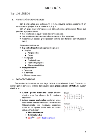 T.3-LIPIDOS.docx.pdf