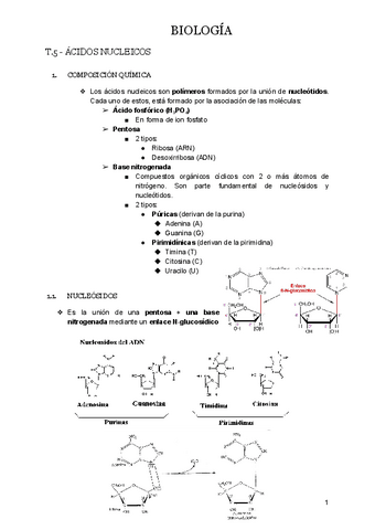 T.5-ACIDOS-NUCLEICOS.docx.pdf