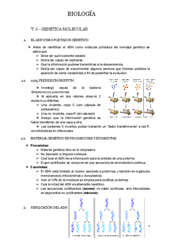 T.6-GENETICA-MOLECULAR.docx.pdf