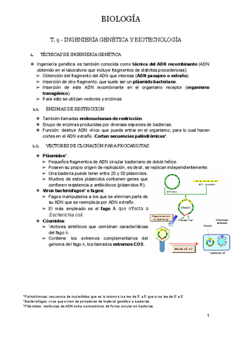 T.9-INGENIERIA-GENETICA-Y-BIOTECNOLOGIA.docx.pdf