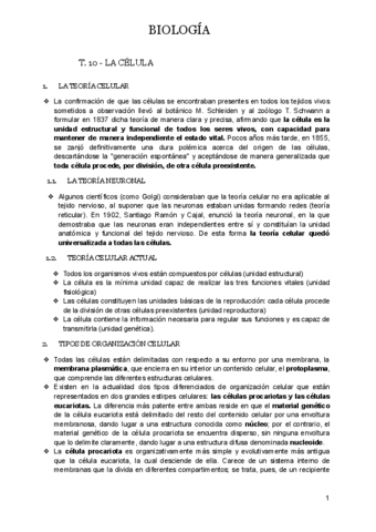 T.10-LA-CELULA.docx.pdf