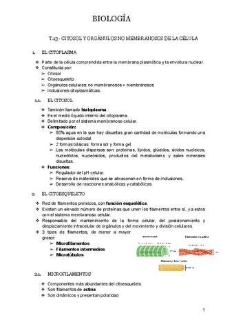 T.13-CITOSOL-Y-ORGANULOS-NO-MEMBRANOSOS-DE-LA-CELULA.docx.pdf