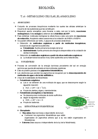 T.16-METABOLISMO-CELULAR.-EL-ANABOLISMO.docx.pdf