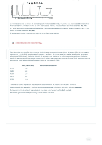 5.pdf