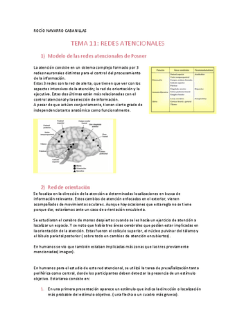 apuntes-tema-11.pdf