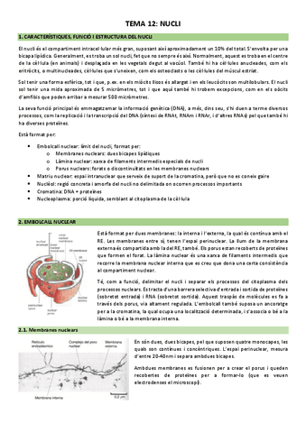Tema-12-El-nucli.pdf