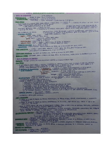 ESQUEMA-TEMA-6-PENAL-ECONOMICO.pdf