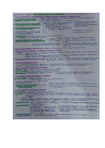ESQUEMA-TEMA-8-PENAL-ECONOMICO.pdf
