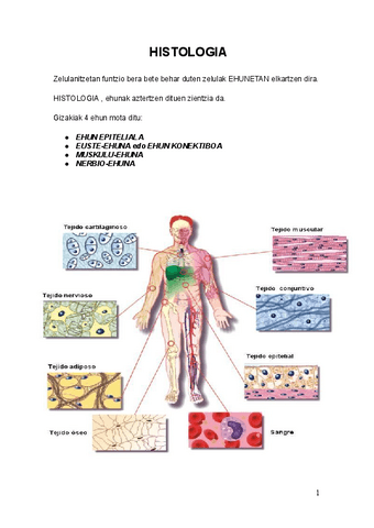 HISTOLOGIA.Ehun-epiteliala.docx.pdf